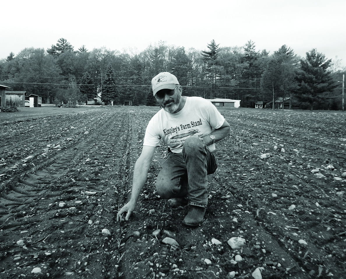 Wayne Kingsley: A small vegetable farmer who left a big impression