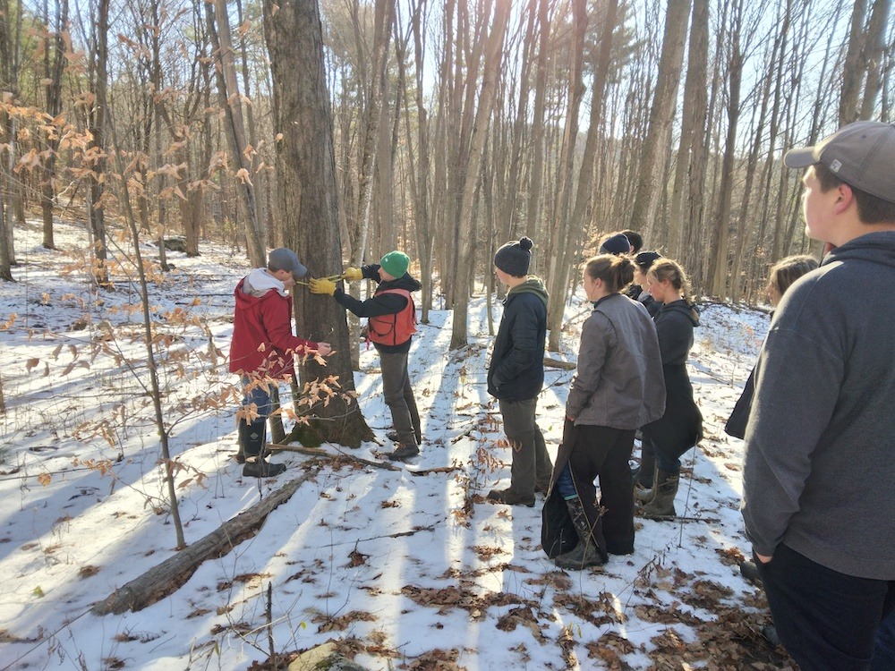 Students help cull timber from Hawk Hill for Brandon Library