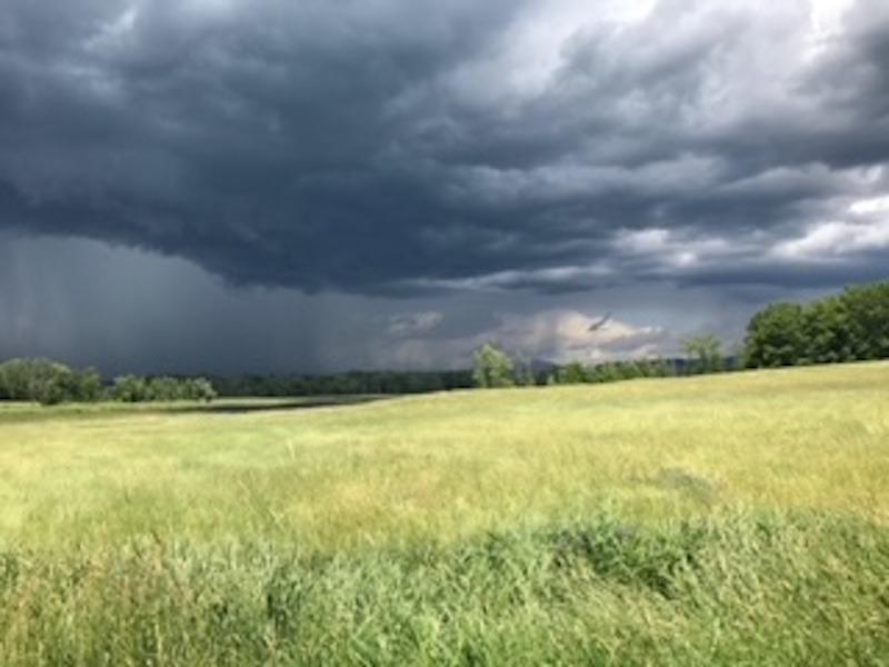 Heavy rains have heavy impact on hay and local farms