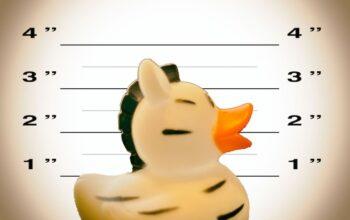 Canyon the duckie arrested for assault against July 4th competitor